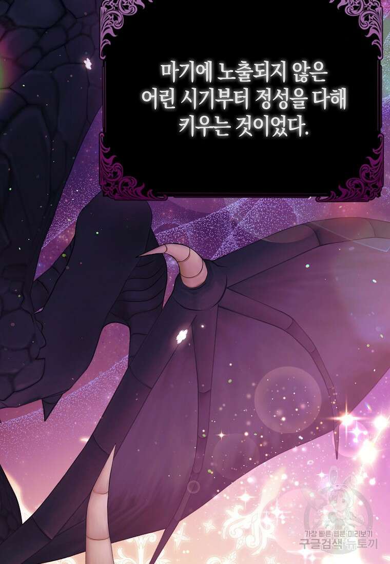 그래서 나는 폐태자와 결혼했다 9화 92