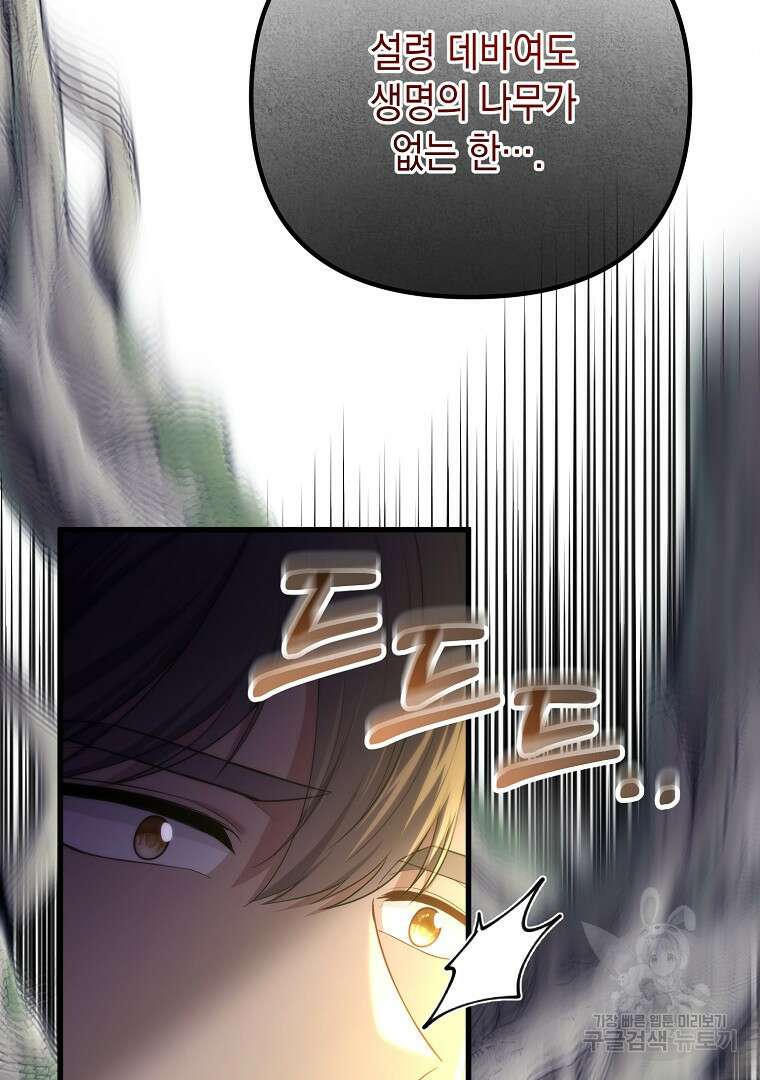 아델린의 깊은 밤 42화 16