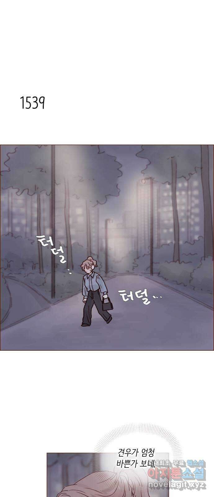 홍시는 날 좋아해! 238화 : 마법 세계로의 초대 14