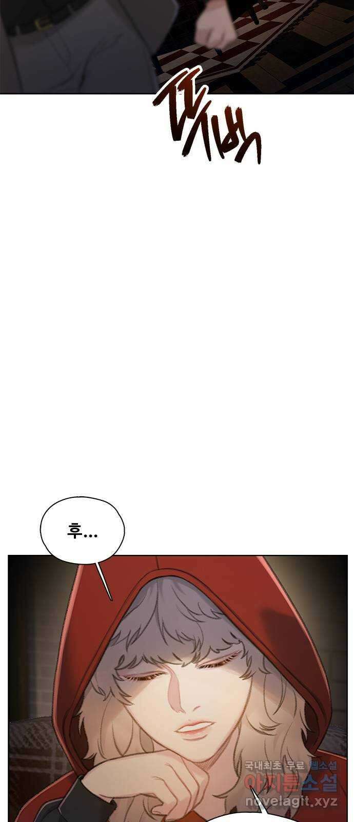 DARK MOON: 회색 도시 22. 또 다른 늑대들 2 17
