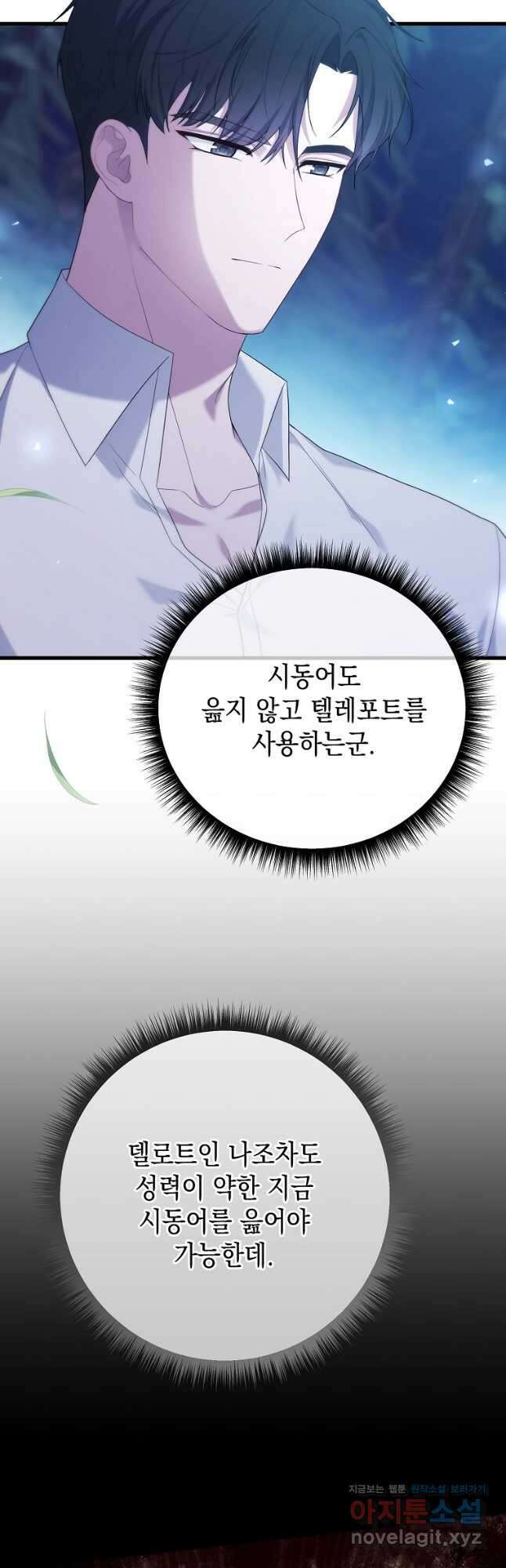 아델린의 깊은 밤 45화 4