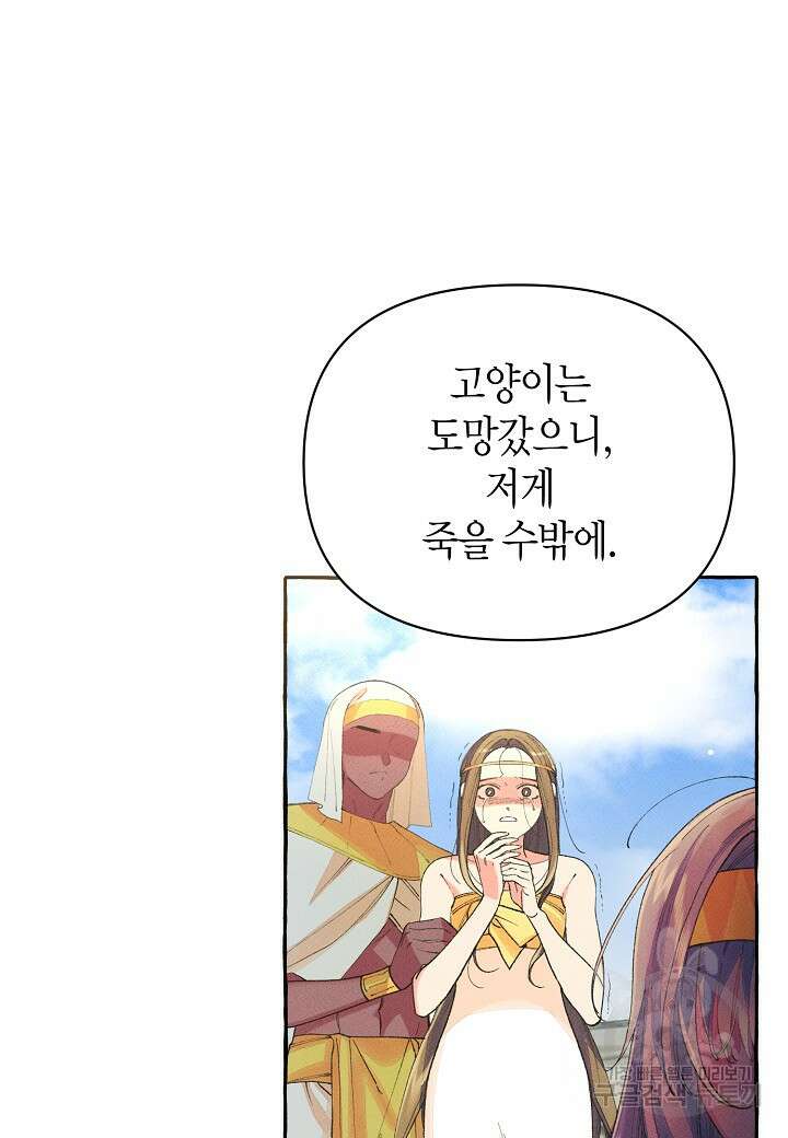 아카시아 6화 19