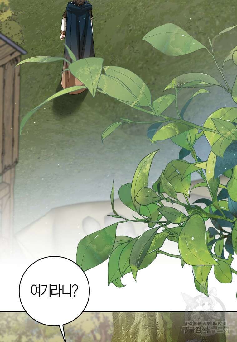 무림세가 천대받는 손녀 딸이 되었다 36화 42