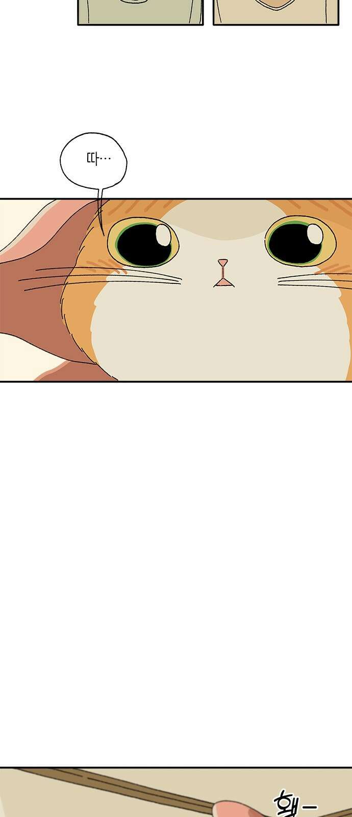 고양이 타타 18화 11