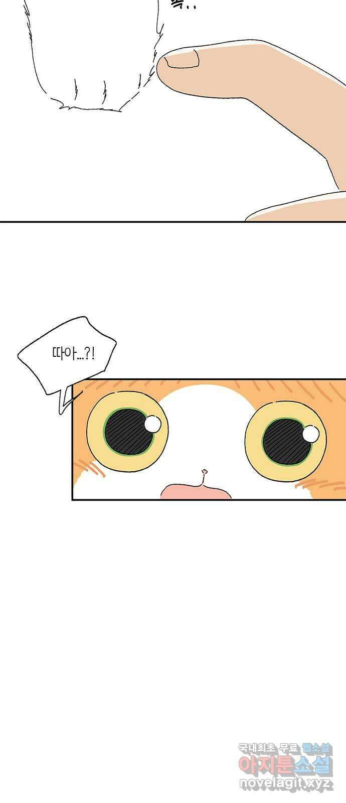 고양이 타타 19화 14