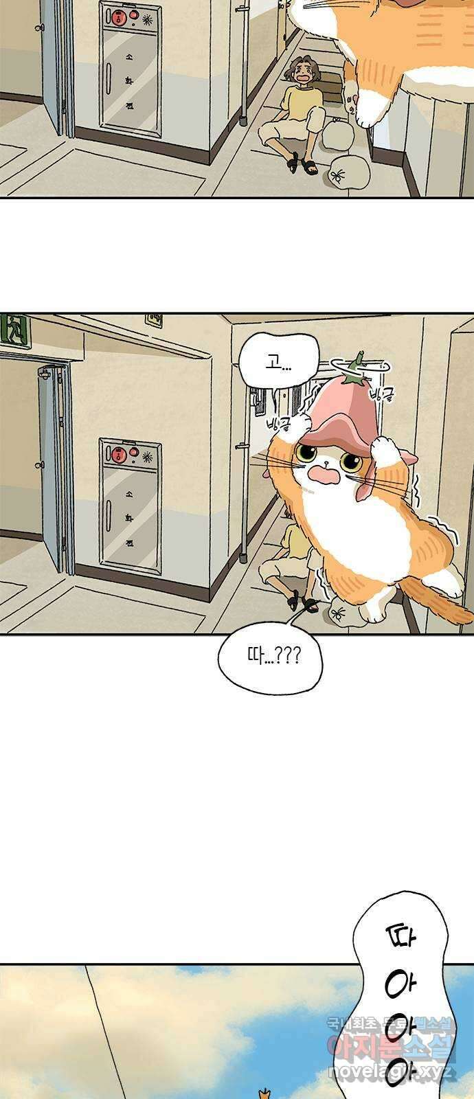 고양이 타타 19화 19