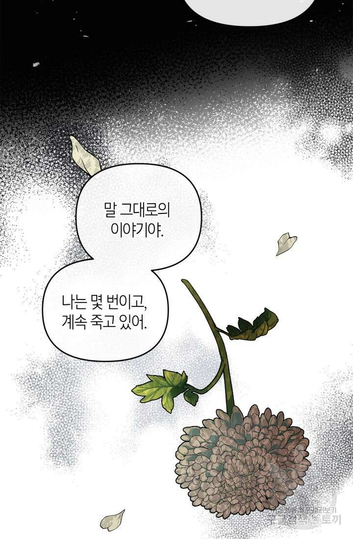 번데기 속 고양이 11화 5