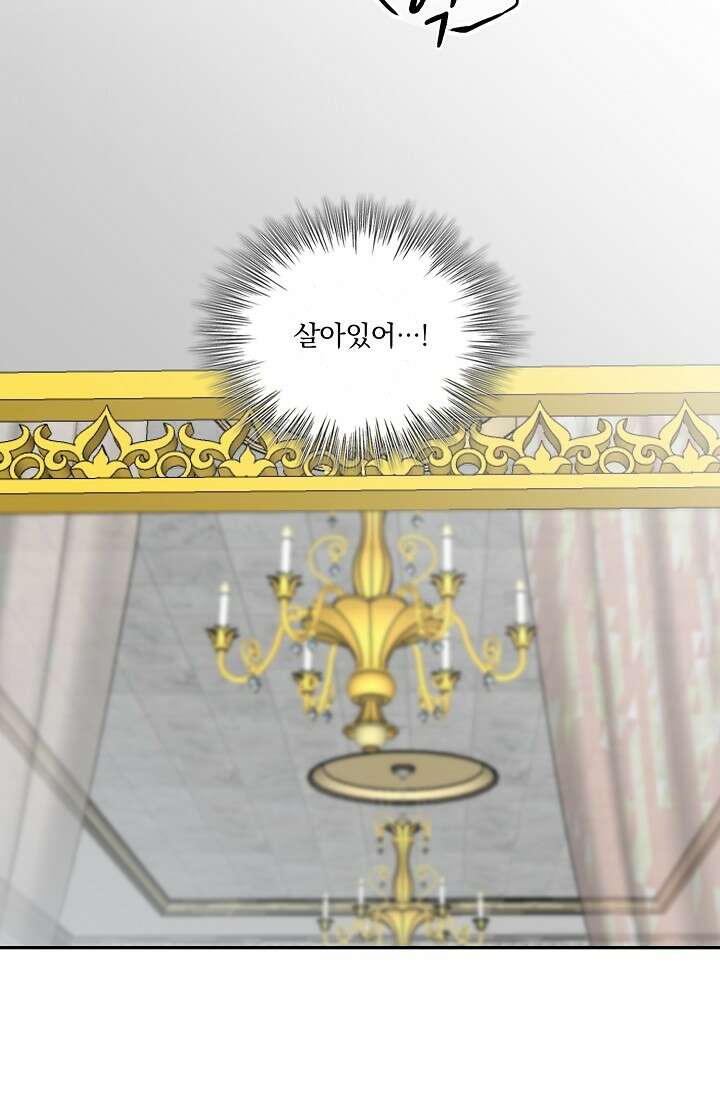 눌리타스 : 절반의 백작 영애 87화 12