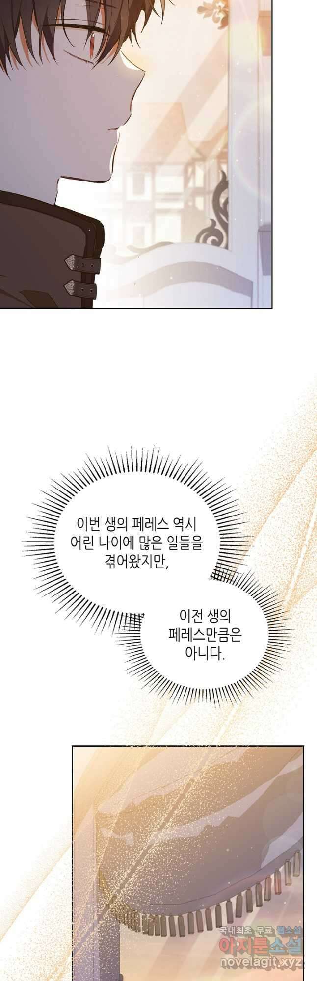 이번 생은 가주가 되겠습니다 117화 11