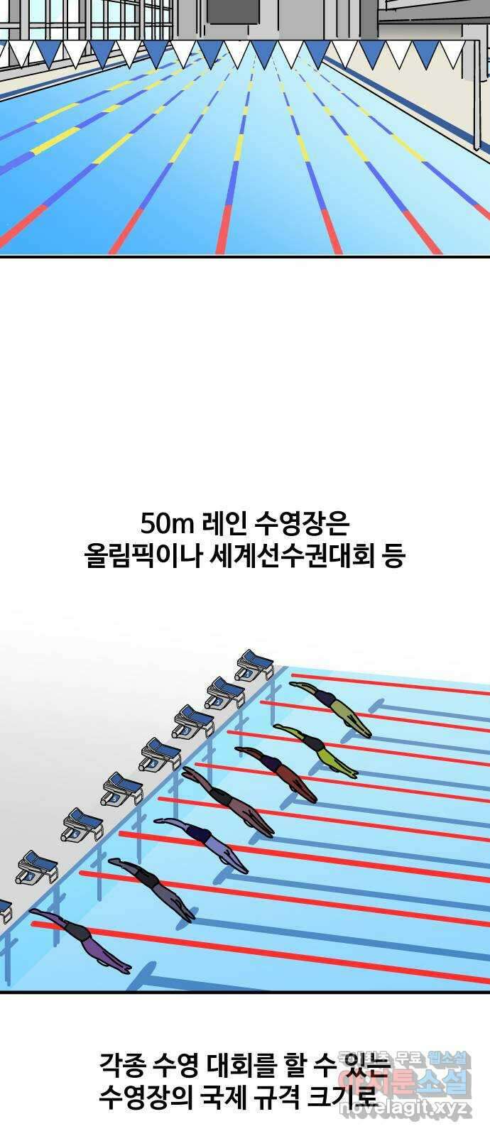 수영만화일기 시즌2 56화 50m레인 수영장 2