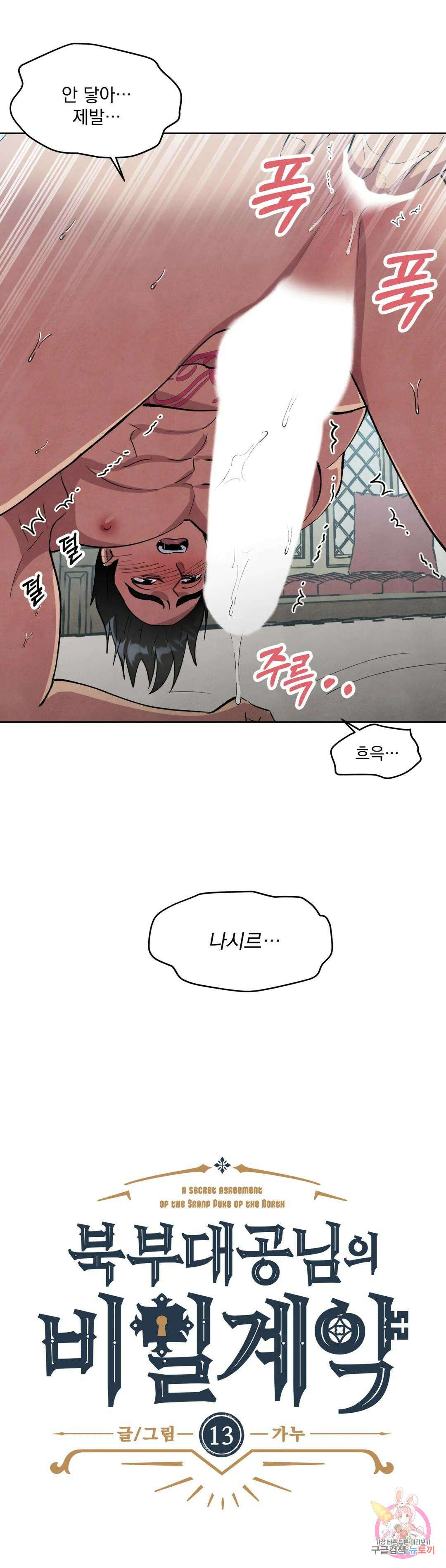 북부대공님의 비밀계약 13화 17