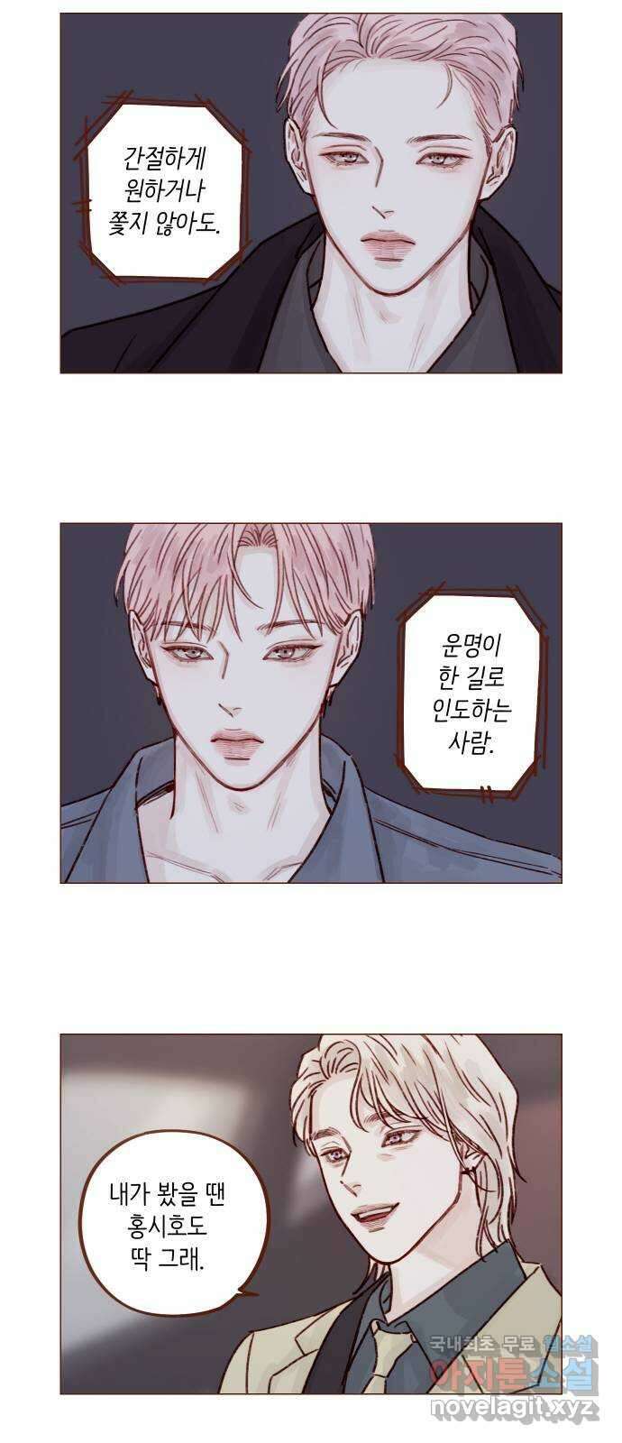 홍시는 날 좋아해! 243화 : 어려운 길을 가네 12