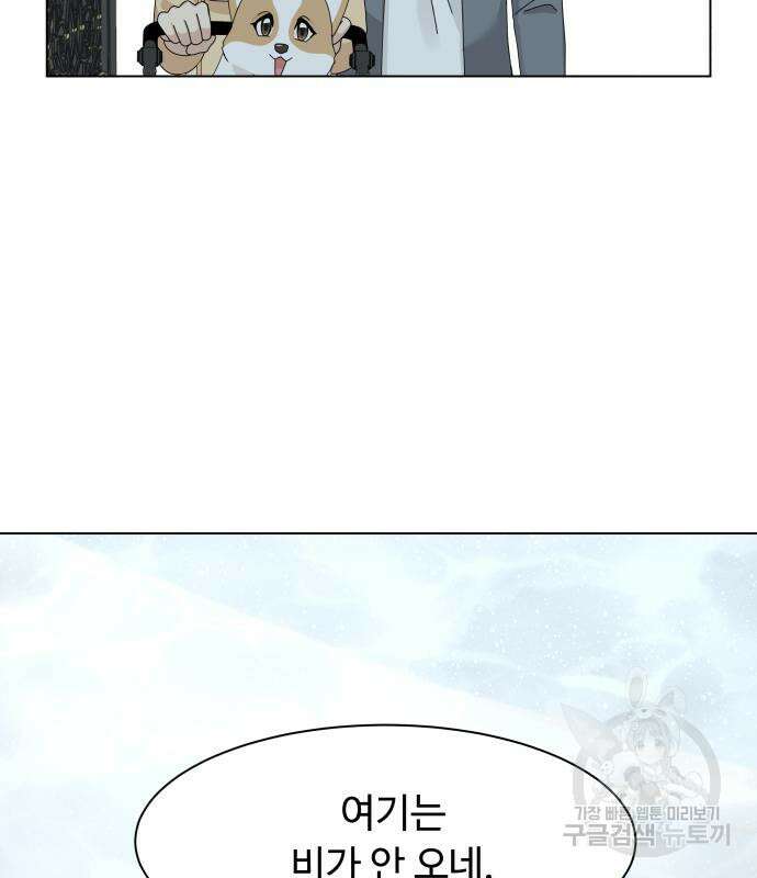 개를 낳았다 시즌2 153화 5