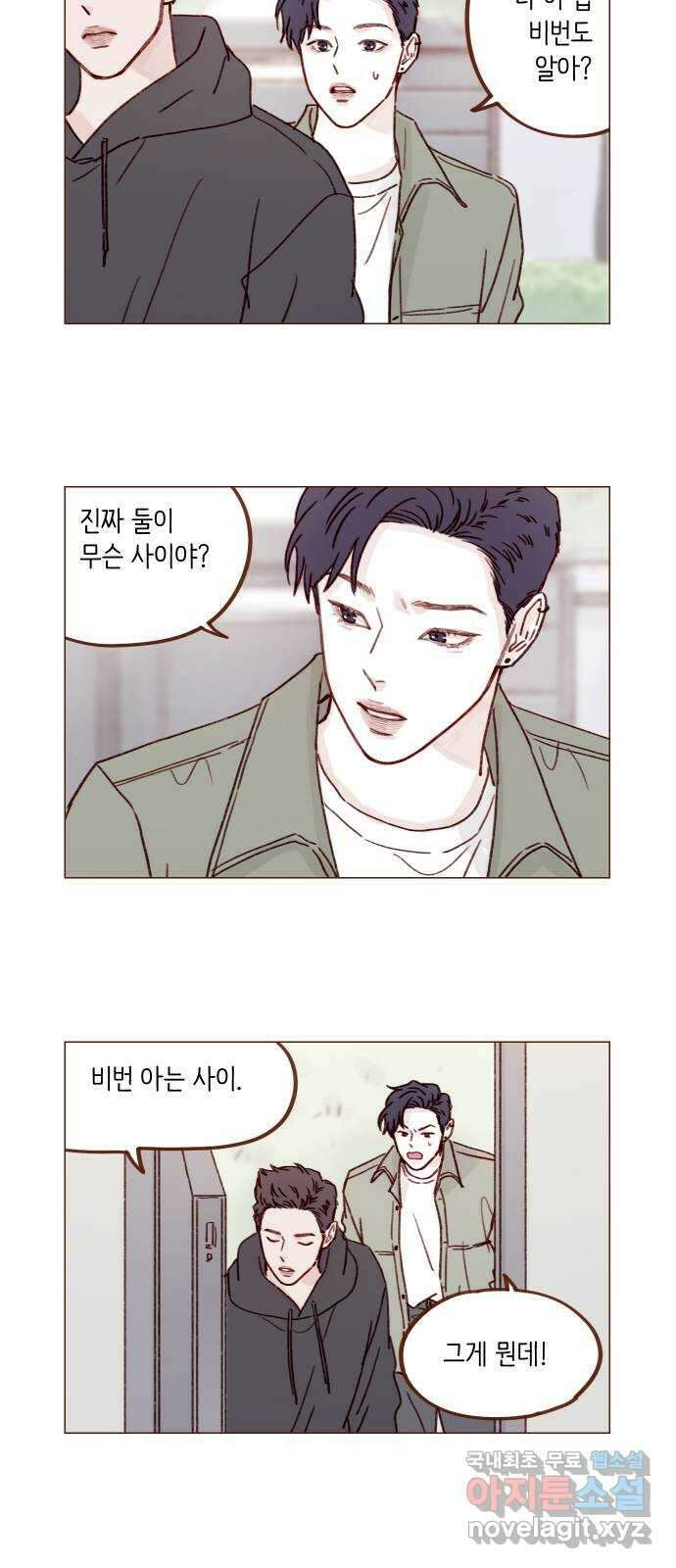 홍시는 날 좋아해! 246화 : 등신일까요, 아닐까요! 2