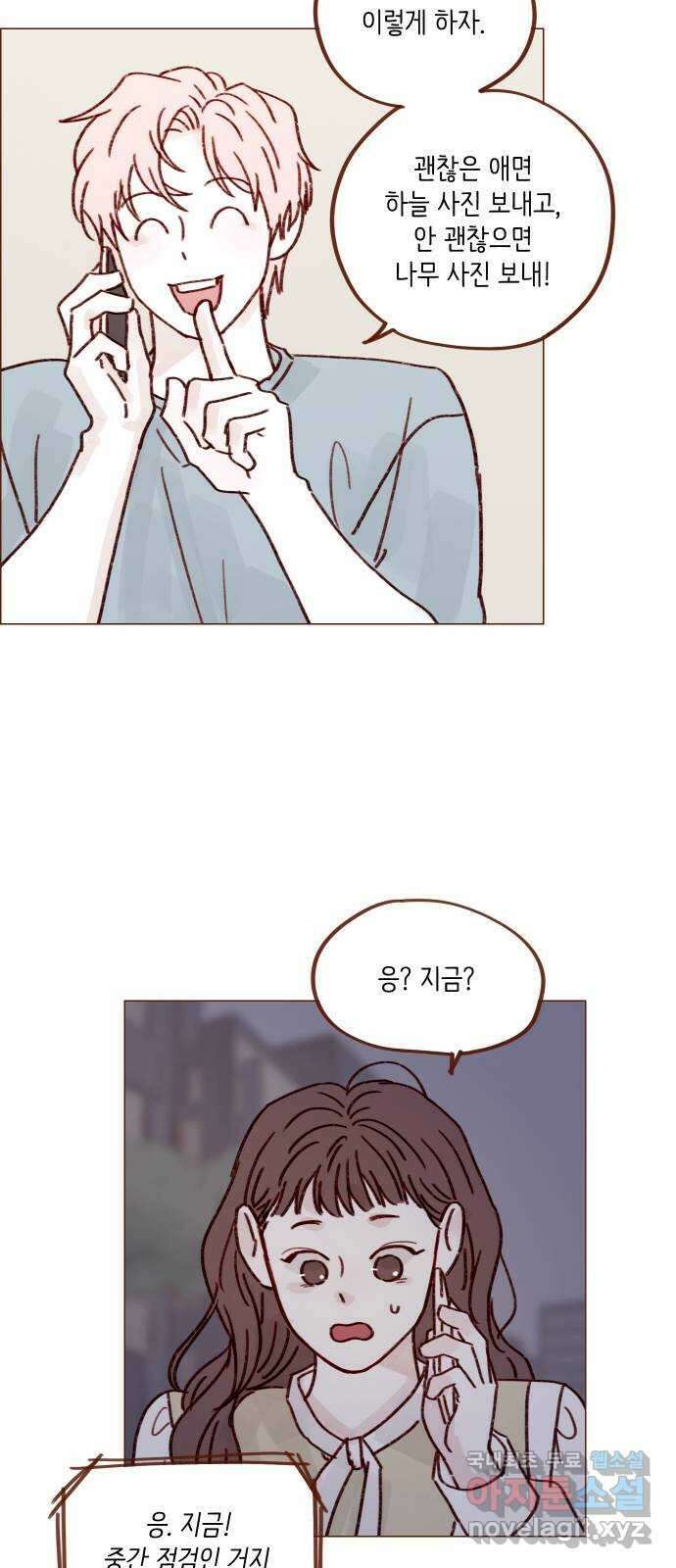 홍시는 날 좋아해! 246화 : 등신일까요, 아닐까요! 22