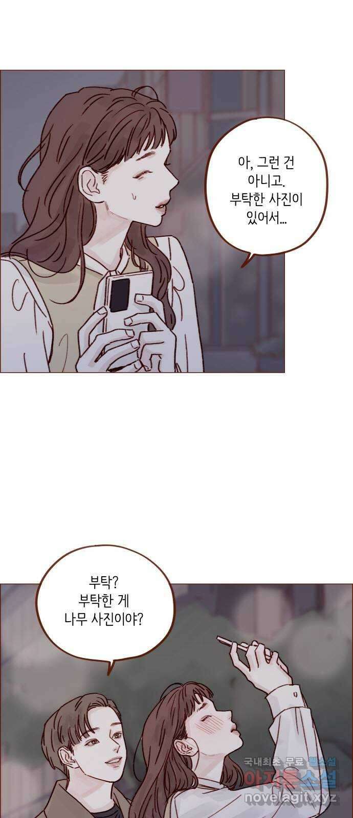 홍시는 날 좋아해! 246화 : 등신일까요, 아닐까요! 25