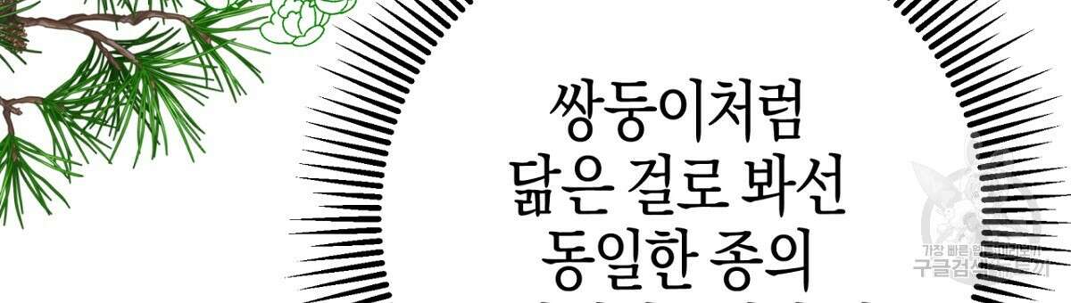 테라리움 어드벤처 57화 45