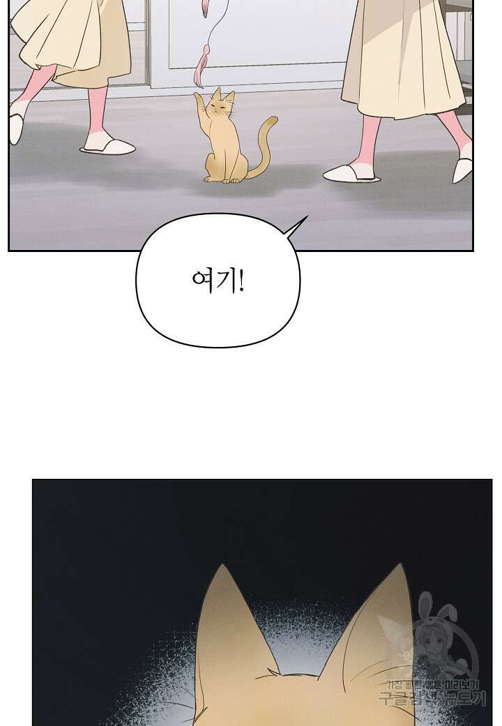 아카시아 28화 9