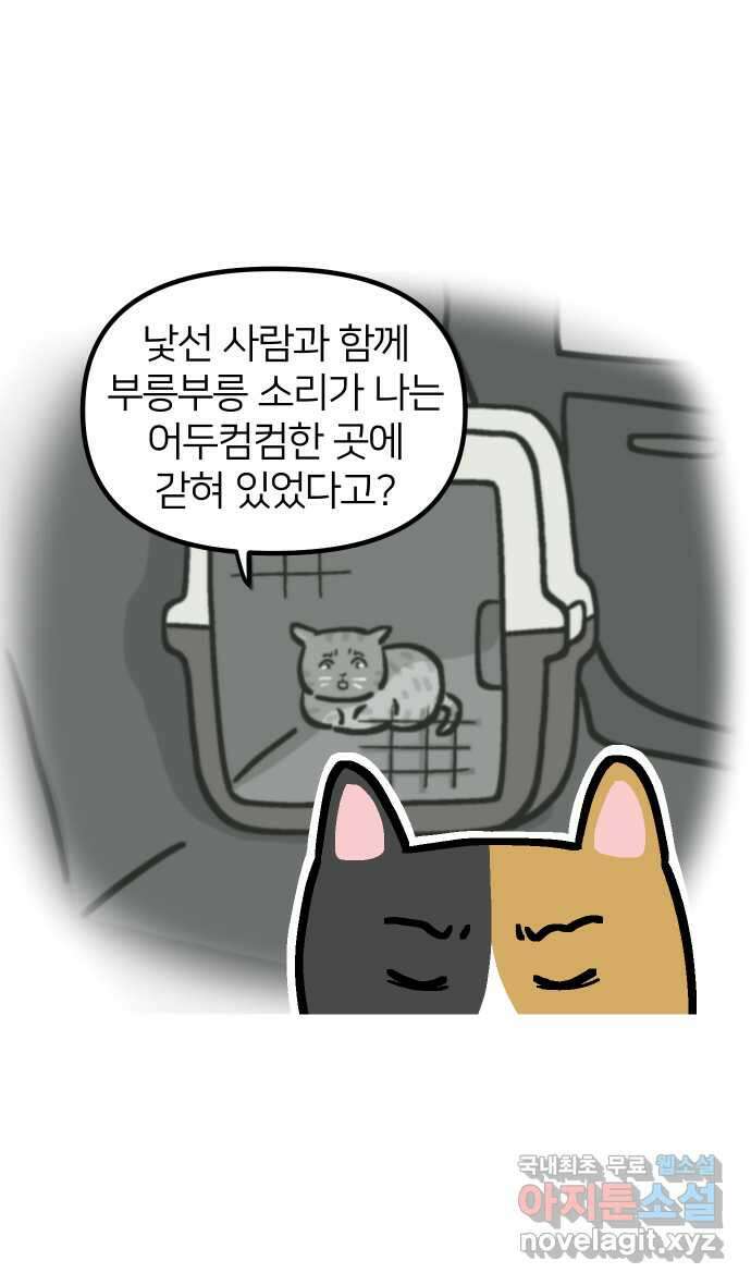 애옹식당 84화 애기, 입양가다?!(4) 3