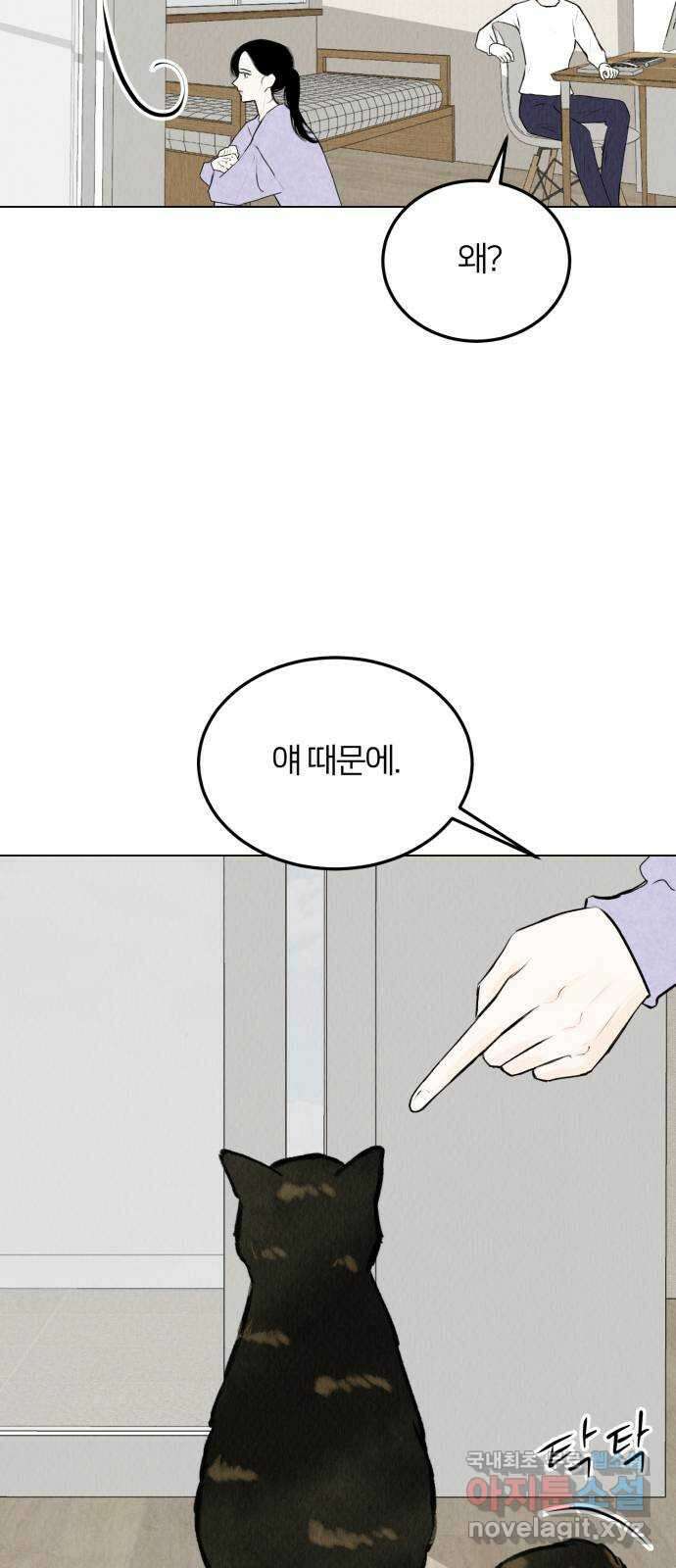 우리 집 고양이 보고 갈래? 27화 2