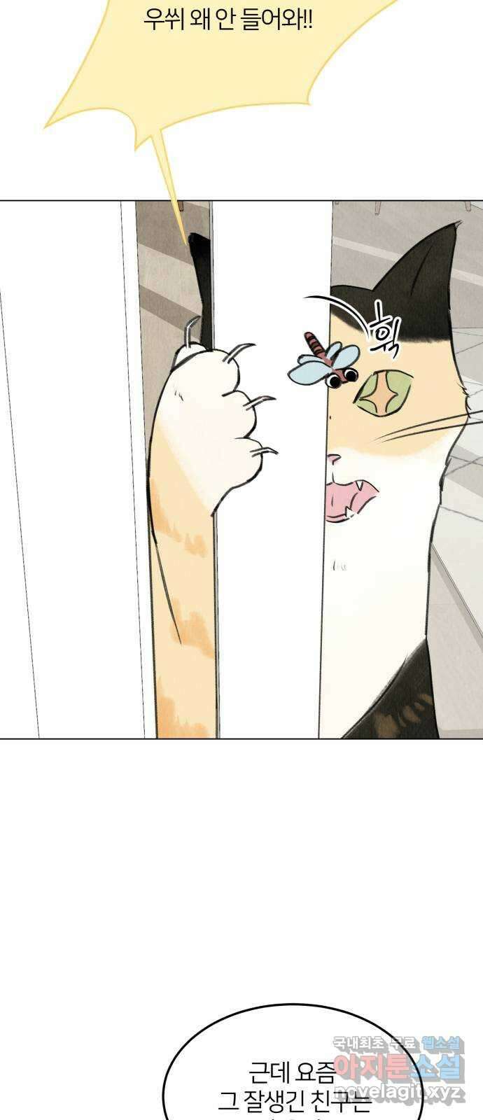 우리 집 고양이 보고 갈래? 27화 5