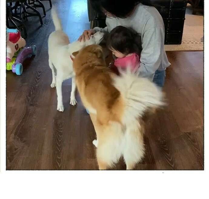 마님이네 미국 시골집 이야기 2화 팬클럽 4