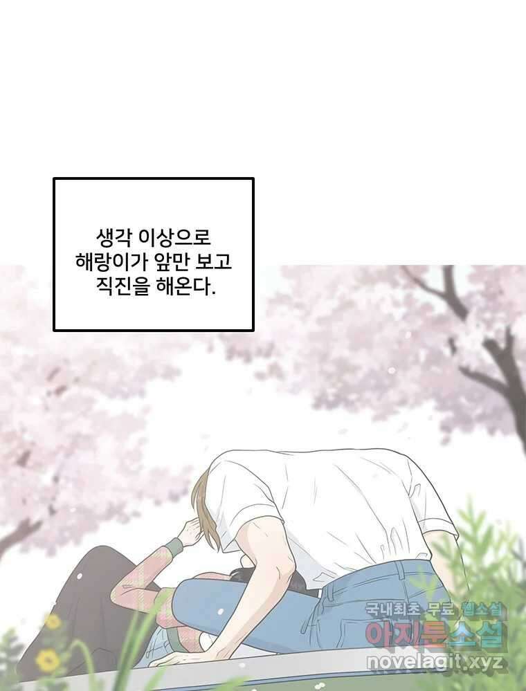 청춘귀촌보고서 37화 모로 가도 서울이면 20