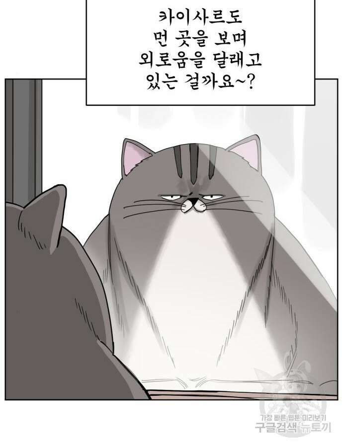 괴양이 10화 4