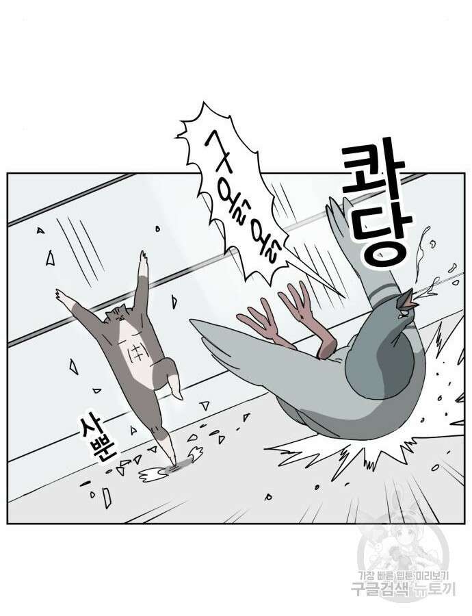 괴양이 10화 17