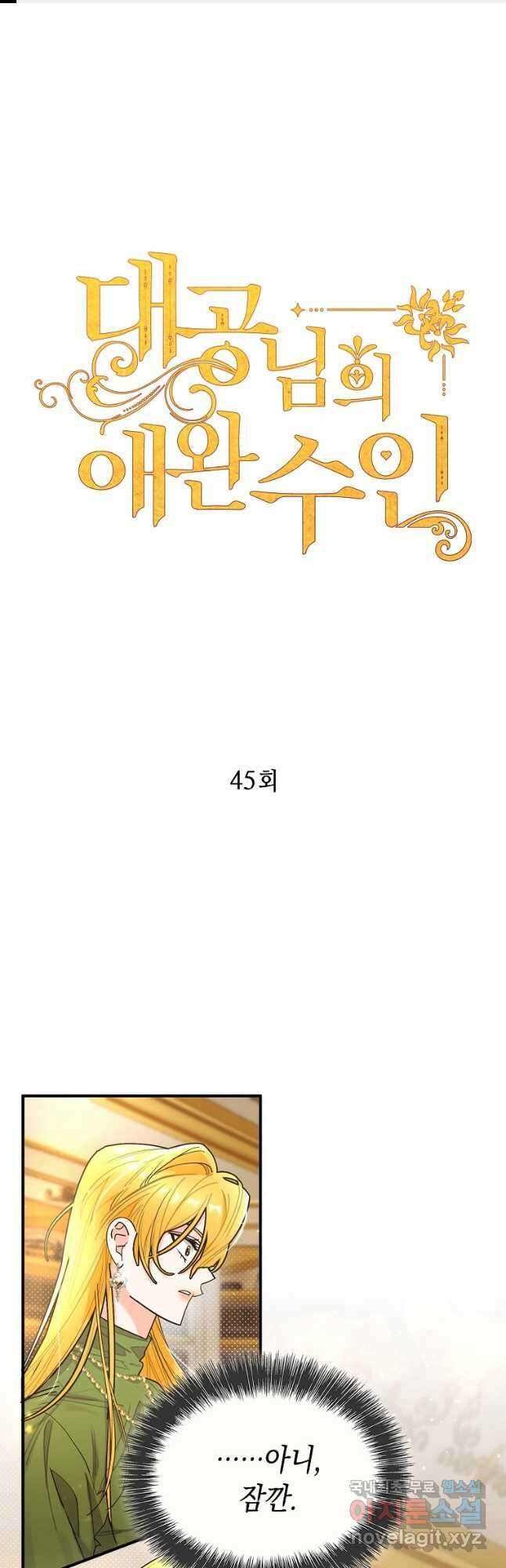 대공님의 애완 수인 45화 1
