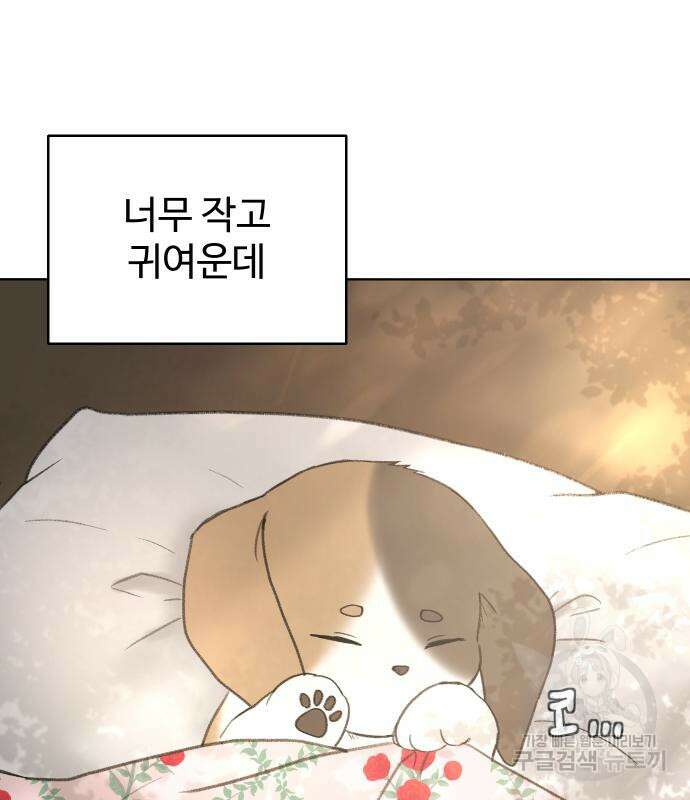 수인보호소에서 남주를 입양해버렸다 5화 2