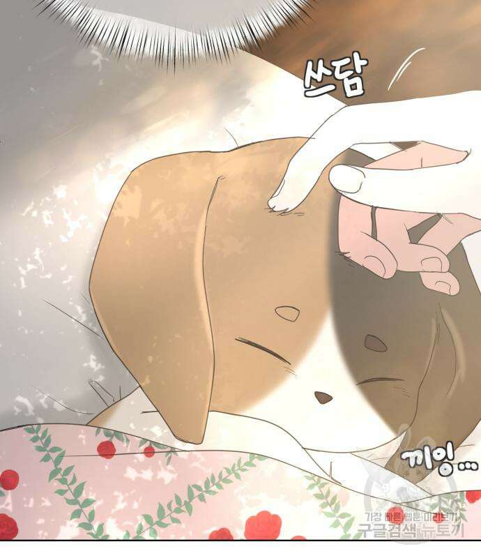수인보호소에서 남주를 입양해버렸다 5화 7