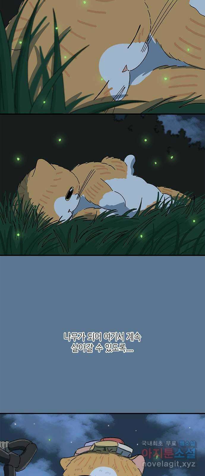 고양이 타타 36화 5