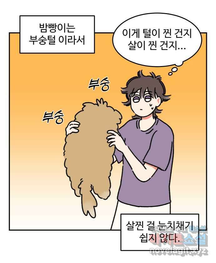 강아지는 멍멍하고 짖지 않아! 28화 - 다이어트 2 4