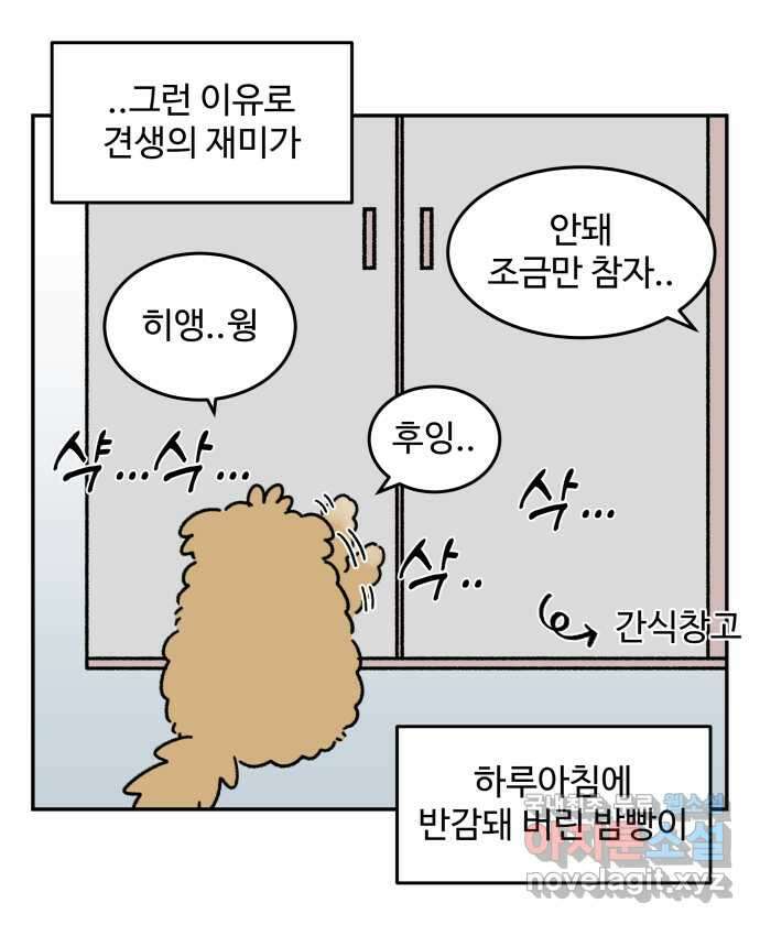 강아지는 멍멍하고 짖지 않아! 28화 - 다이어트 2 10