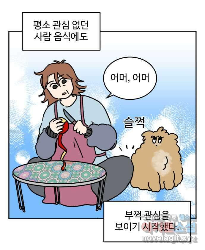 강아지는 멍멍하고 짖지 않아! 28화 - 다이어트 2 11