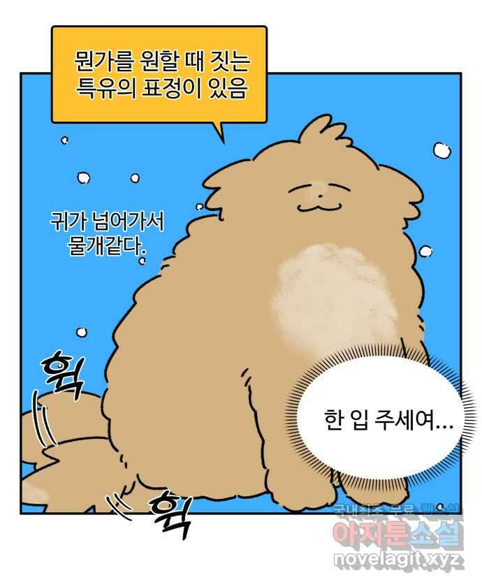 강아지는 멍멍하고 짖지 않아! 28화 - 다이어트 2 12