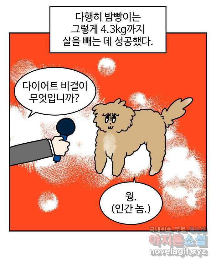 강아지는 멍멍하고 짖지 않아! 28화 - 다이어트 2 21