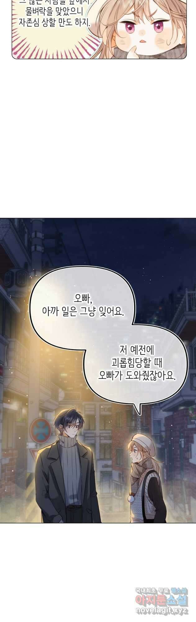 숨길 수 없는 45화 54
