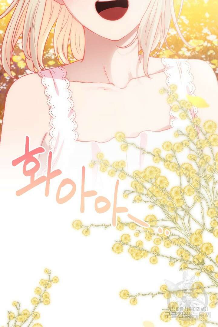 TL 소설 속 시녀가 되었습니다 91화 92