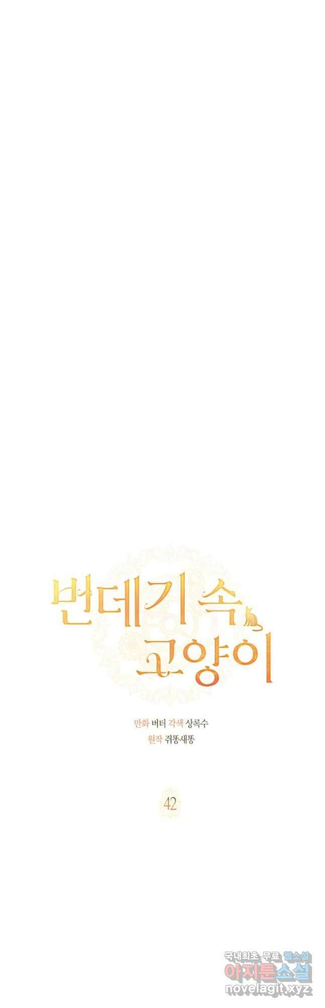 번데기 속 고양이 42화 6