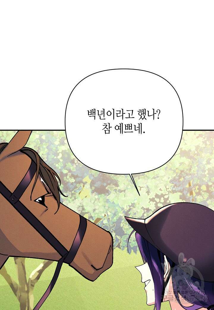 아카시아 37화 6