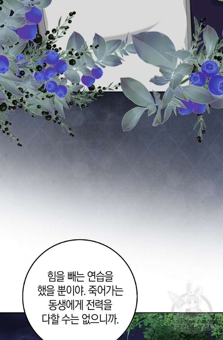 그 던전의 S급 시한부 영애 18화 4