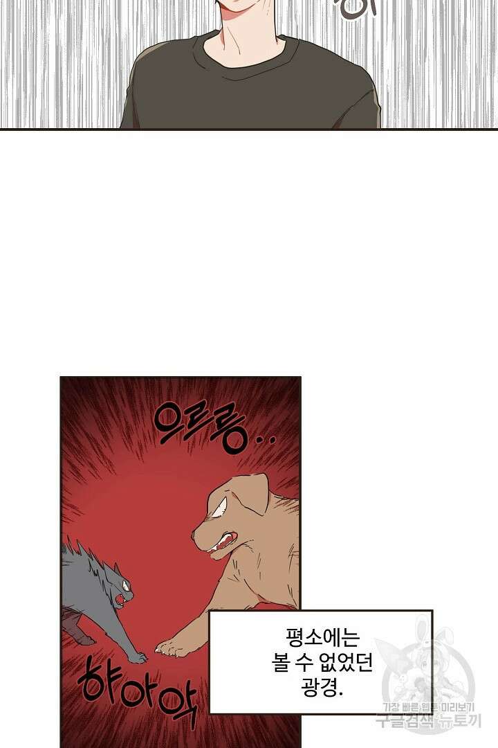 멍멍냥냥 72화 3
