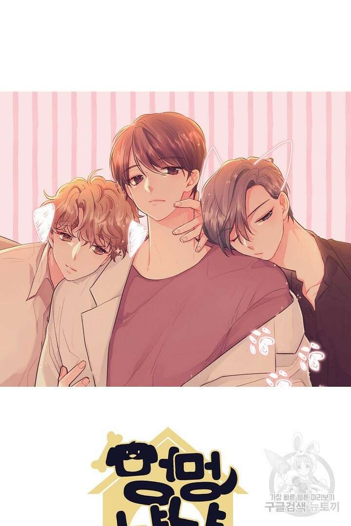 멍멍냥냥 72화 6