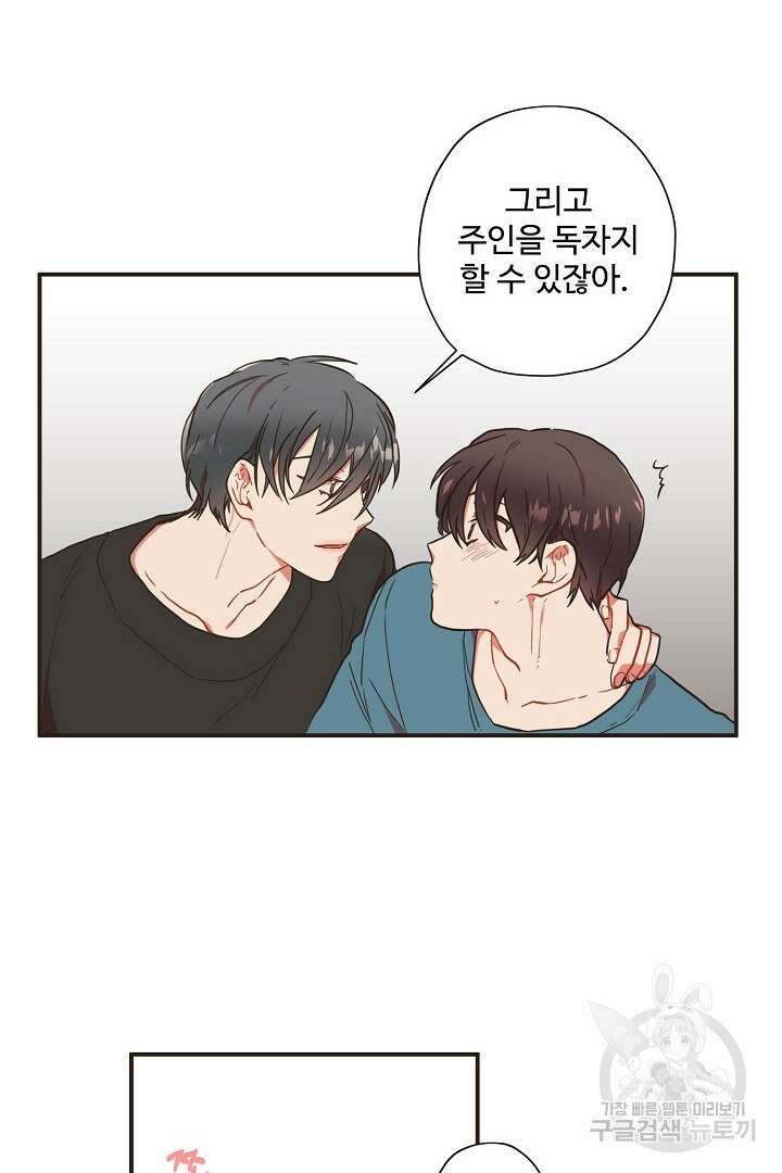 멍멍냥냥 72화 12