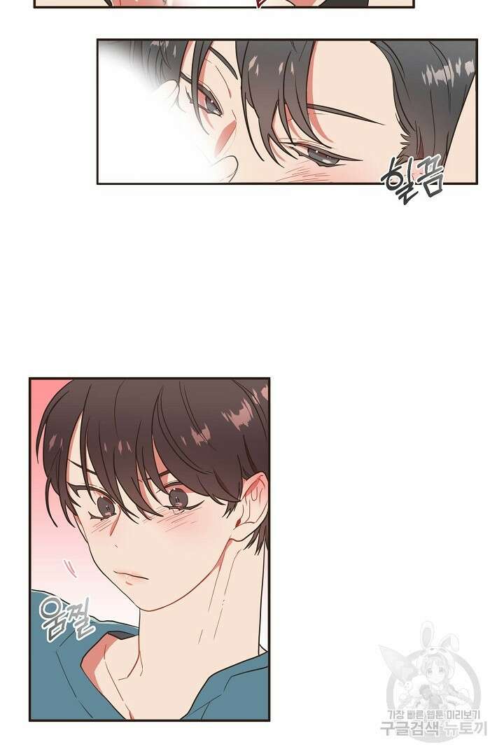 멍멍냥냥 72화 17