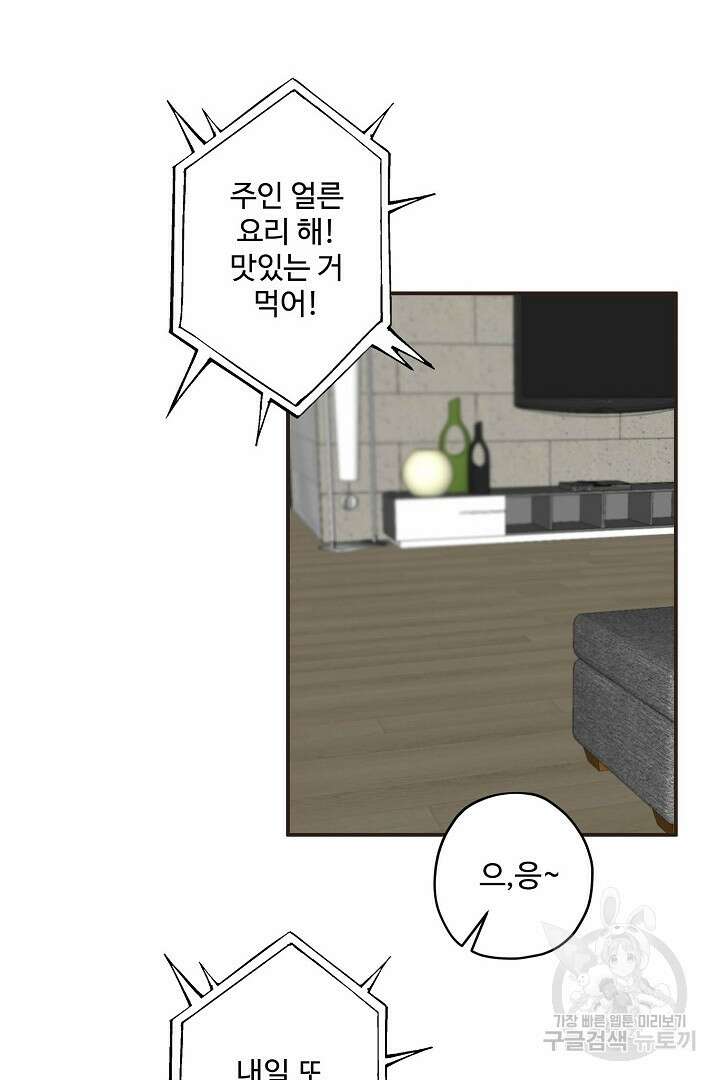 멍멍냥냥 72화 37