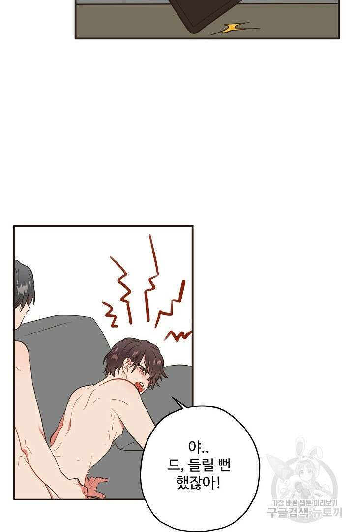 멍멍냥냥 72화 39