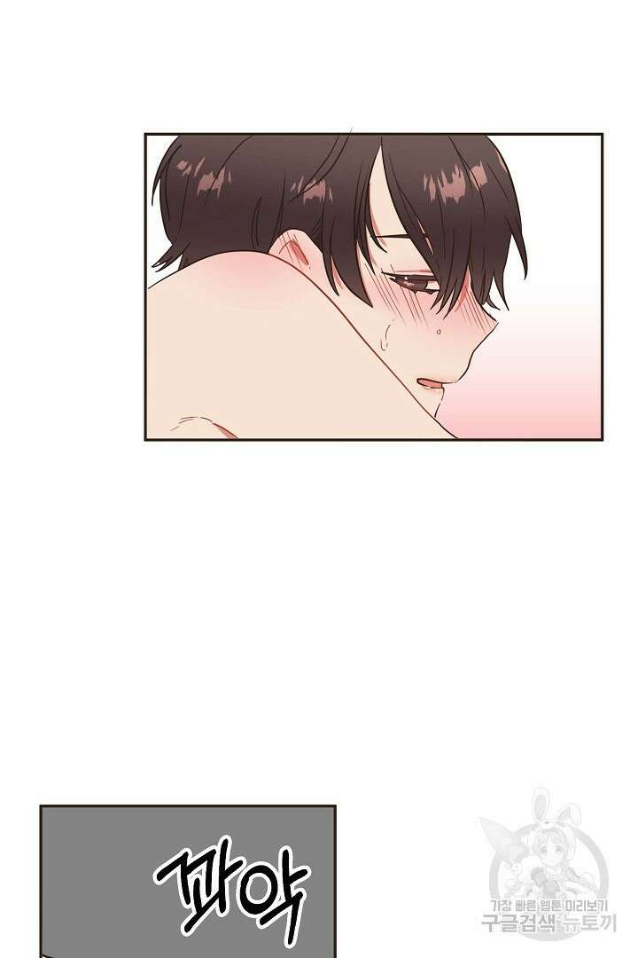 멍멍냥냥 72화 47